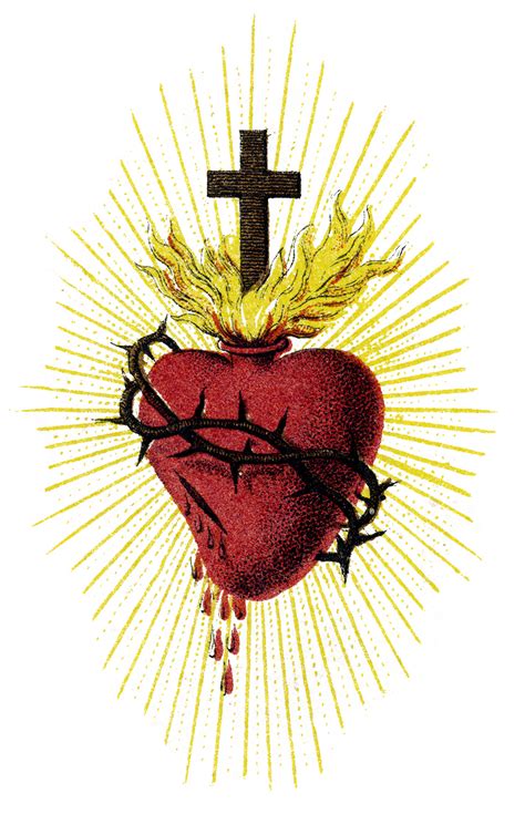 20,000+ Free The Sacred Heart & Heart Images .